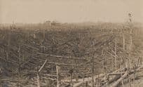 Field Disaster Dutch East Indies Indonesia Antique Asian RPC Postcard