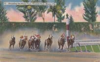Finishing Post Horse Race Racing at Hialeah Park Miami Vintage USA Postcard