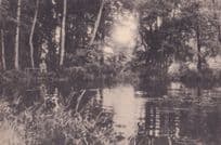 Fishing at Pacov River Czech Republic Antique Postcard
