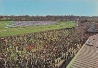 Flemington Stadium Australia Horse Racing 1970s Postcard