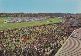 Flemington Stadium Australia Horse Racing 1970s Postcard