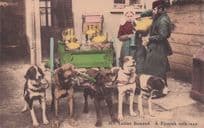 Flemish Milk Maid Dairy Dog Cart Bleigium Old Postcard