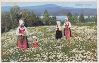 Flower Picking at Leksand Dalarne Sweden Old Postcard