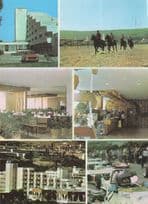 Formula 1 Car at Seebad Albena Horse Race Bulgaria Postcard