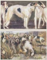 Fox Hunting Dog Greyhounds Otterhounds 2x Painting Postcard