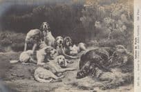 Fox Killed For Dogs To Eat Antique Hunting Painting Postcard