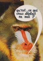 French Orangutan Monkey Gorilla Talking England Football Face Make Up Postcard