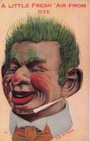 Fresh Air From Rye Ventriloquist Dummy Mailing Novelty Postcard