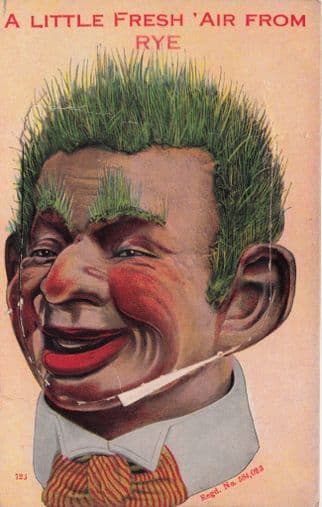 Fresh Air From Rye Ventriloquist Dummy Mailing Novelty Postcard