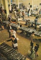 Funchal Fish Poissons Market Traders Shop Portugal Postcard