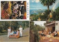 Funchal Grocers Fruit Sellers Running Carro Market Traders Rainbow 4x Postcard s