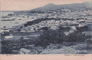Funchal Tirado Do Leste Madeira Portugal Aerial Old Postcard