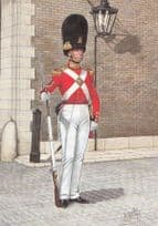 Fusilier Scots Scottish Guard London 1832 Military Uniform Postcard