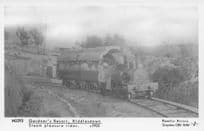 Gardner's Resort Steam Pleasure 1905 Old Train Pamlin Prints Railway RPC Postcard