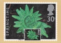 Garlic Leaves Leaf Collection First Day Cover Photo Art Postcard