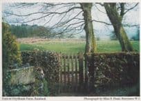 Gate At Ghyllbank Farm Cumbria Womens Institute Farming Postcard