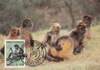 Geoffreys Black Handled Spider Monkey Honduras Rare WWF Stamp FDC Postcard
