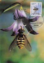 German Flower Fly Hoverfly Rare Bonn Insect First Day Cover Postcard