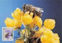 German Honey Bee Honigbiene Stunning Bonn Rare FDC Postcard
