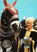 German Horse Race Racing Winning Trainer After Race + Cup Big Race Postcard