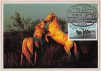 German Horses Kissing Neumunster Rare Animal FDC Postcard