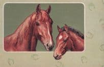 German Race Horses Stunning Raised Antique Postcard