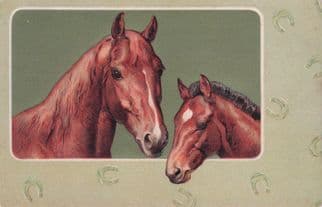 German Race Horses Stunning Raised Antique Postcard