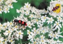 German Red Wasp Bienewolf Bee Wolf Rare Bonn FDC Postcard