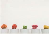 German UFO Pot Plants As Futuristic Capsules Spaceship Rocket Style Postcard