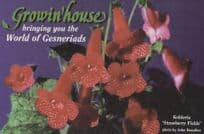 Gesneriads South African Flower Canadian Dealer Postcard