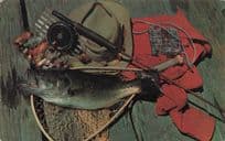 Giant Fish Caught At Manitoba Swan River 1970s USA Postcard