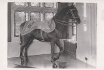 Giant Horse Statue At Exhibition Of Ceremonial Robes Sussex Photo