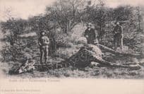 Giraffe Shot at Zontpansberg Transvaal South Africa Hunting Old Postcard