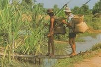Going Fishing Together Nets Vietnam Postcard