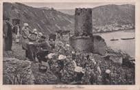 Grape Pickers Wine Harvest in Wachau Rhein Antique German Postcard