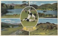 Grasmere Langdales Cumbria Sports Keep Fit Athletics Old Postcard