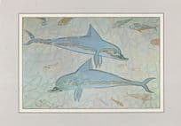 Greek Blue Dolphins Fish Stunning 1600 BC Fresco Painting Postcard