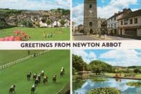 Greetings From Newton Abbot Horse Race Racing Postcard