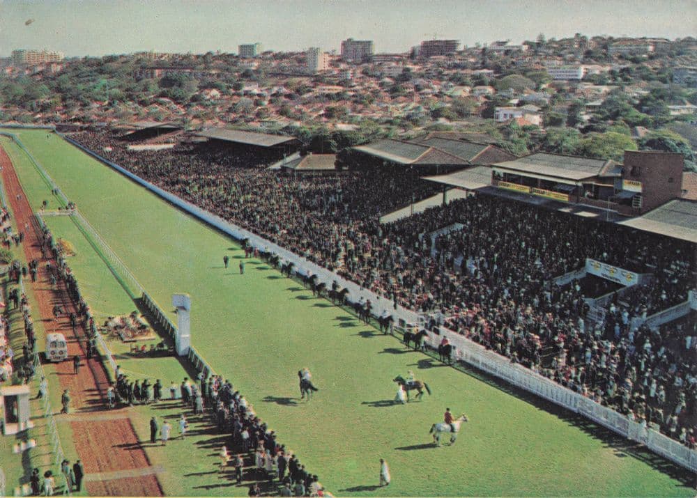 Greyville Horse Racing Stadium Durban South Africa Postcard