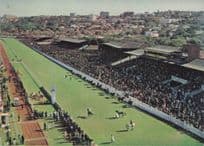 Greyville Horse Racing Stadium Durban South Africa Postcard