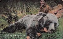 Grizzly Bear Killed at Bridge River BC Canada Old Animal Hunting Postcard