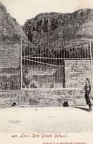 Groote Schuur Zoo Cape Town Lions Den South Africa Rare Old Postcard