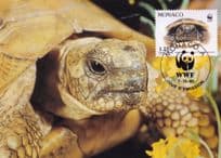Grumpy Hermanns Tortoise in France Monaco WWF Stamp FDC Postcard