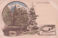 Gruss Aus Feldsee Raimartihof Lake Antique German Postcard
