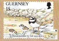 Guernsey Bird Photo Postcard Stamp First Day Cover L'Eree Nature Reserve