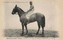 Guillaume Tell La France Chevaline 1906 Race Horse & Jockey PB Postcard