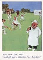 Guinness Cricket Wicket Keeper Comic Advertising Postcard