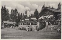 Gulsvikstuen Frognerseteren Vintage Norway Real Photo Postcard