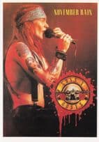 Guns'N'Roses November Rain Live Heavy Metal Rare Postcard