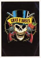 Guns'N'Roses Skull Pistols Heavy Rock Group Photo Postcard